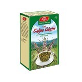 Ceai Talpa Gâștii iarbă, C42, 50 g, Fares