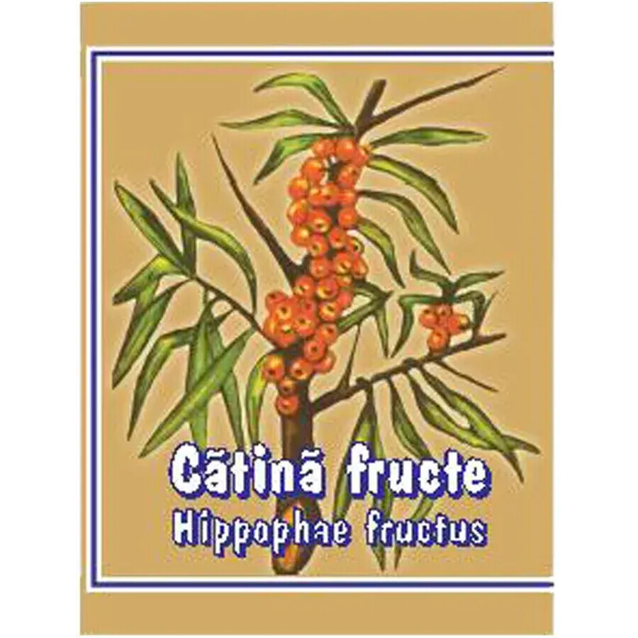 Catina fructe, 100 g, Cyani