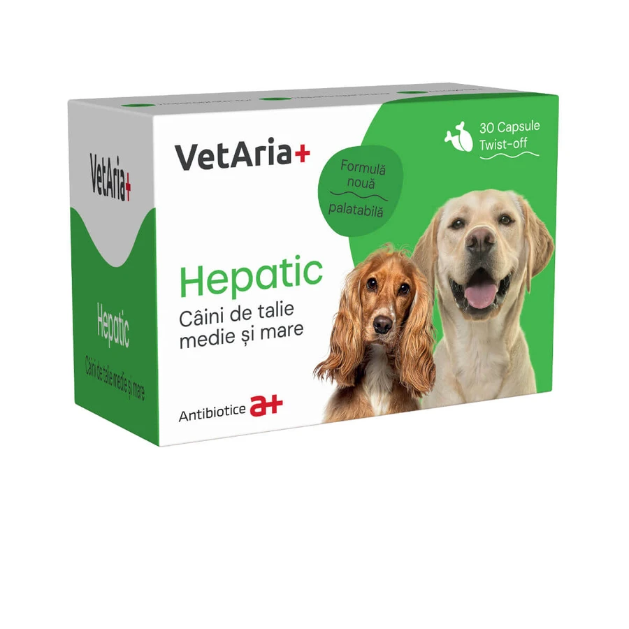 VETARIA+ Hepatic para perros medianos y grandes, M-XL, suplemento del sistema hepático para perros, Pollo, caja, 30 cápsulas