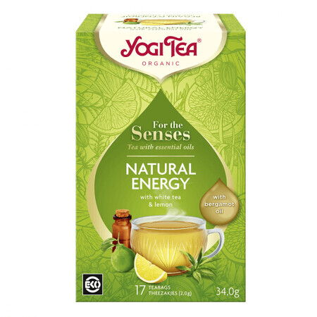Natürliche Energie für die Sinne Bio-Tee mit ätherischen Ölen, 17 Portionsbeutel, Yogi Tea