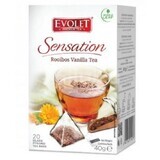 Ceai rooibos si vanilie Evolet Sensation, 20 plicuri, Kalpo