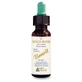 Bach flori benoit trandafir sălbatic 10 ml
