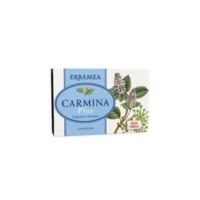 Carmina plus 24 Tabletten 19,2 g