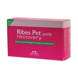 Ribes pet recovery blister 60 perles