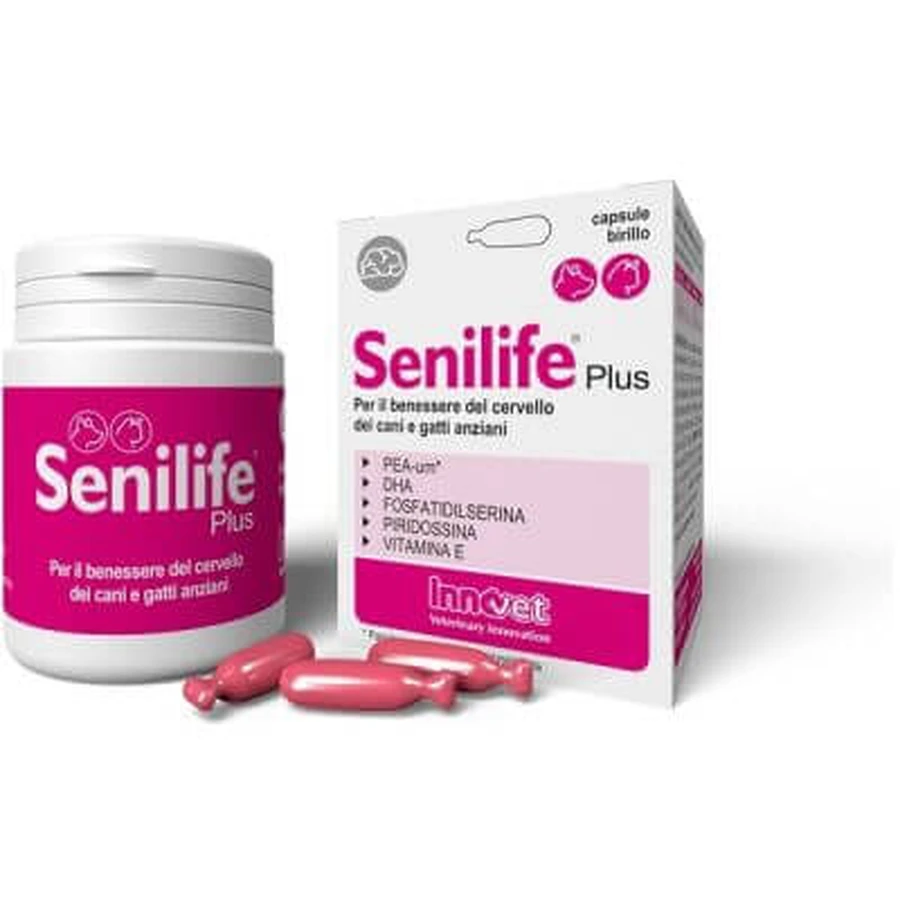 Senilife plus 60 gélules