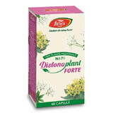 Distonoplant Forte N171, 60 Kapseln, Fares