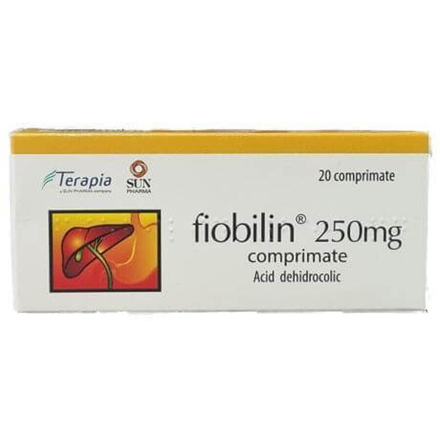 Fiobilin, 20 Tabletten, Therapie