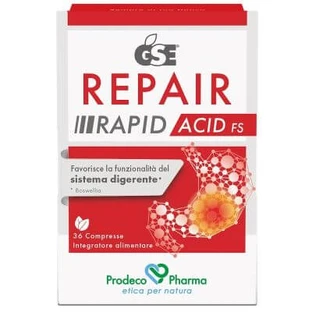 Gse Reparatur schnelle Säure fs 36 Tabletten