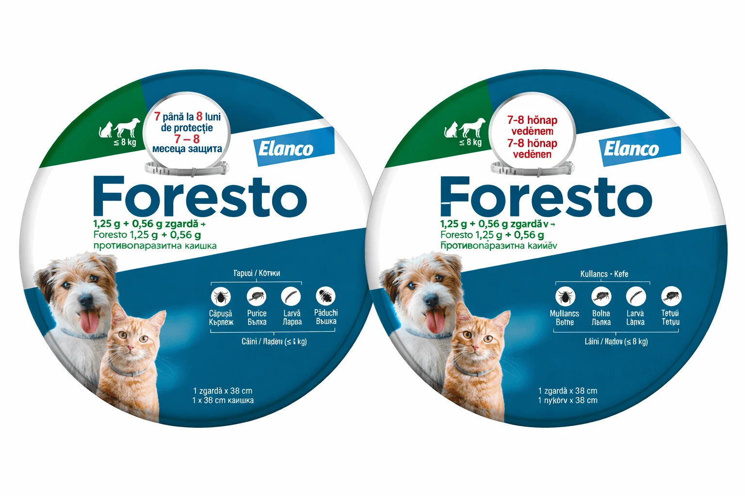 Foresto Halsband für Katzen und kleine Hunde, 2 Stück, Bayer Vet OTC