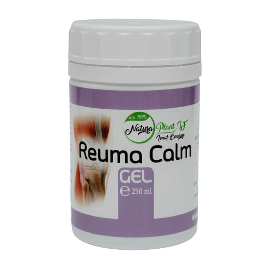 Reuma Beruhigungsgel, 250 ml, Natura Plant