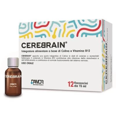 Gehirn 12 Fläschchen 10 ml