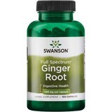 Ginger Root ginger extract, 100 capsules, Swanson Health USA