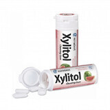 Guma de mestecat watermelon fara zahar Xylitol, 30 g, Hager