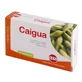 Caigua extract uscat 60 comprimate