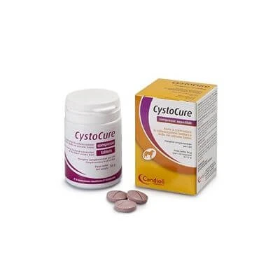 Cystocure forte Dose 30 Tabletten