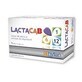 LactacaB 1, B6, B12, 5 plicuri, Hyllan