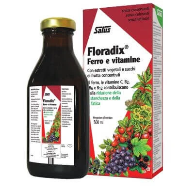 Floradix Eisen und Vitamine 500 ml