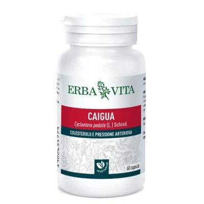 Caigua 60 Kapseln 400 mg