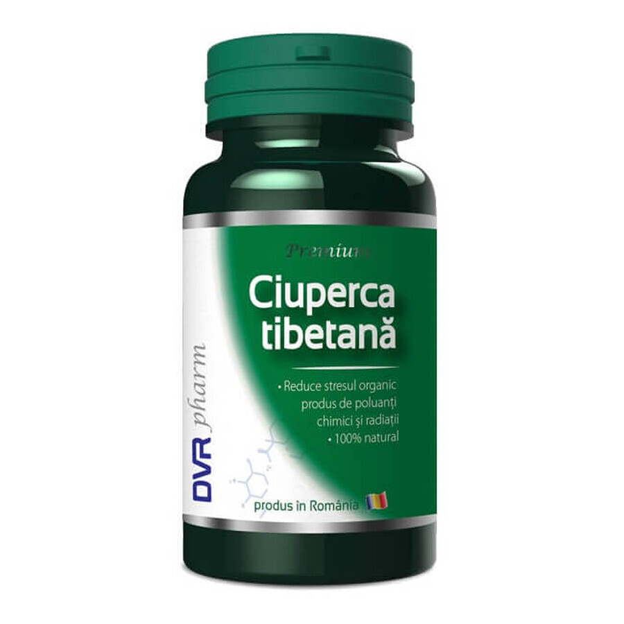 Ciuperca Tibetană, 60 capsule, DVR Pharm