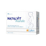 Natalvit Profolic, 60 Tabletten, Hyllan