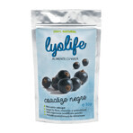 Lyolife freeze-dried blackcurrants, 30 g, Lifesense