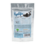 Lyolife freeze-dried blackcurrants, 30 g, Lifesense