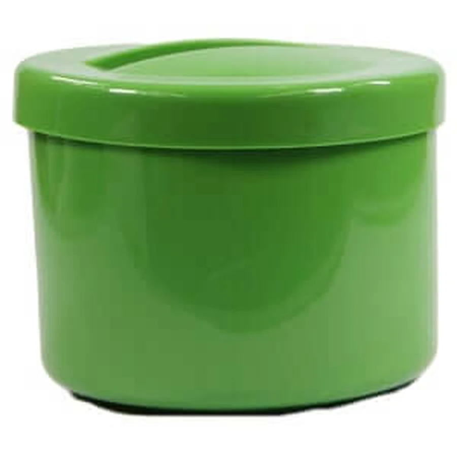 Recipient pentru proteză dentară cu capac și inserție verde 1 buc