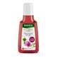 Rausch Volume szampon z malwą 40 ml