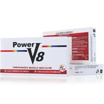 Power V8, 4 Kapseln, Divers Seo Market