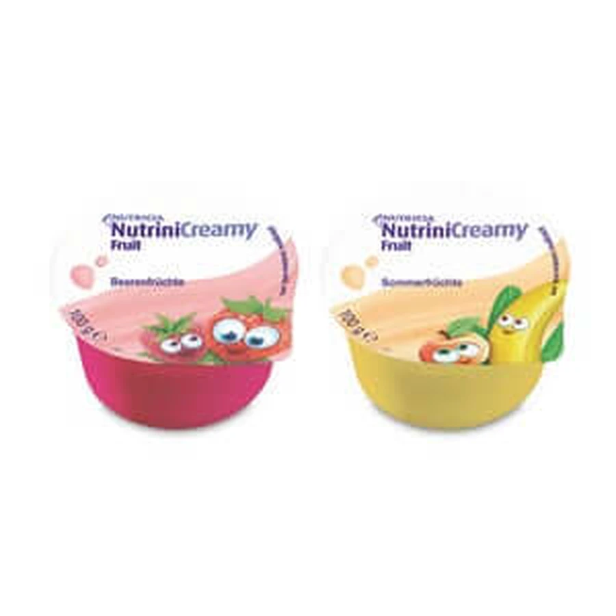 Nutrini Creamy Fruit mix karton 32X100 g: ceny i cechy