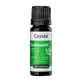 Casida olejek z drzewa herbacianego naturalny 10 ml