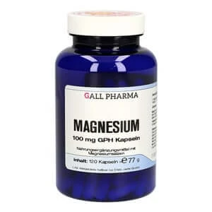 Magnesium 100 mg GPH Kapseln 120 St