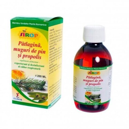 Patullaine syrup with poplar buds and propolis, 200 ml, Elidor