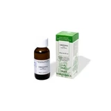 Griffonia 100ml Urtinktur