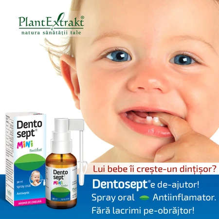 Dentosept Mini Mundspray, 30 ml, PflantExtrakt
