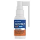 Frezyderm Propolis Spray oral 30ml