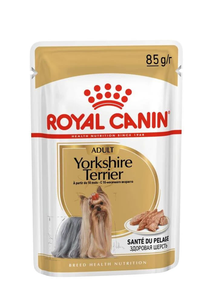 ROYAL CANIN Yorkshire Yorkshire Adult Nassfutter für Hunde (Pastete), 85g