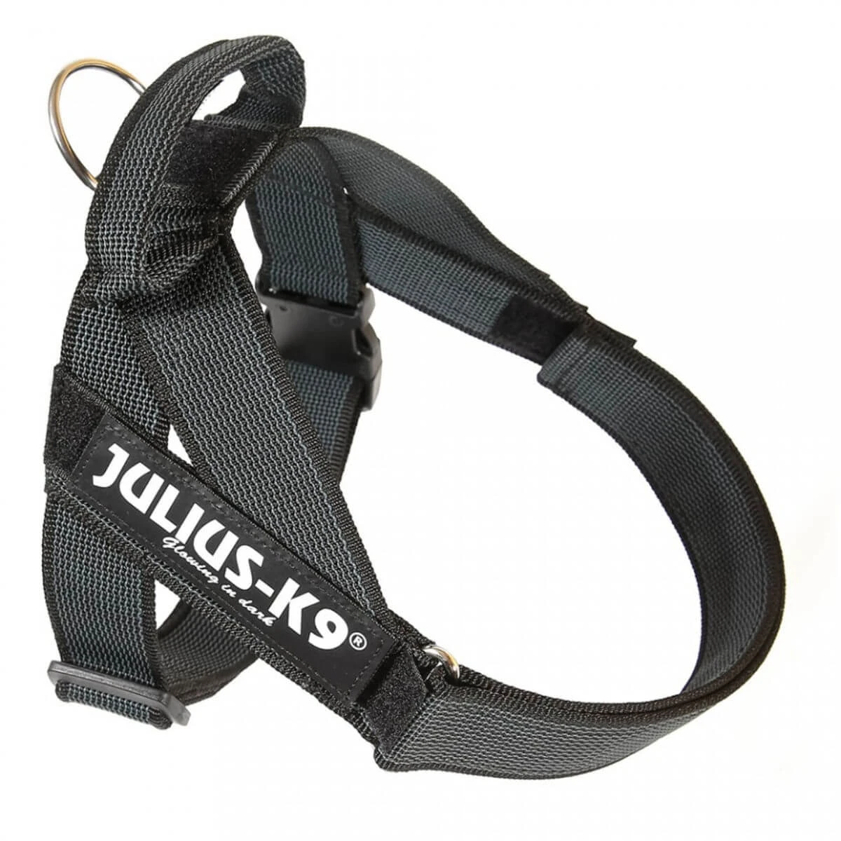 JULIUS-K9 IDC Color & Gray IDC, Geschirr Hundeleine, M, 14-25kg, schwarz