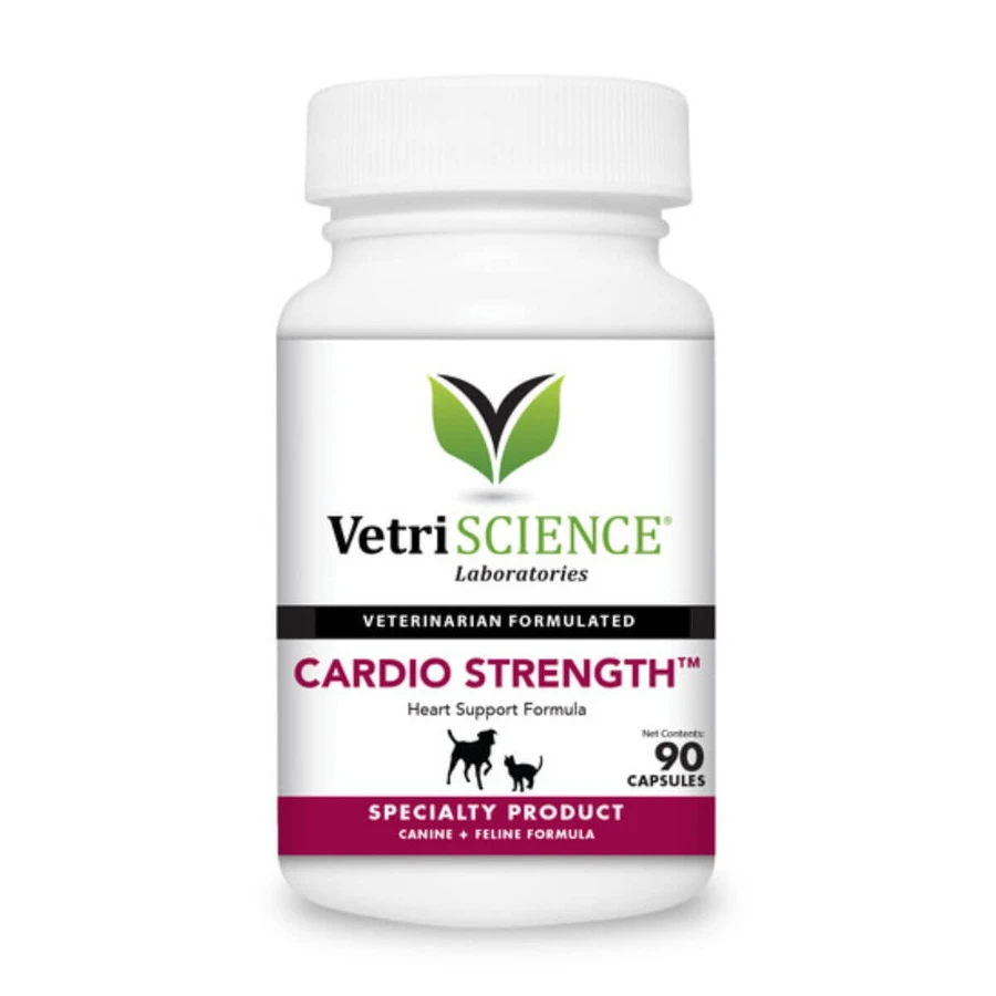 VETRISCIENCE Omega Healthy Heart, XS-XL, supliment sistem cardio-vascular câini, flacon, 30 capsule
