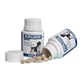 SOFCANIS Senior, XS-XL, supplément multivitaminé pour chiens âgés, flacon, 50 comprimés