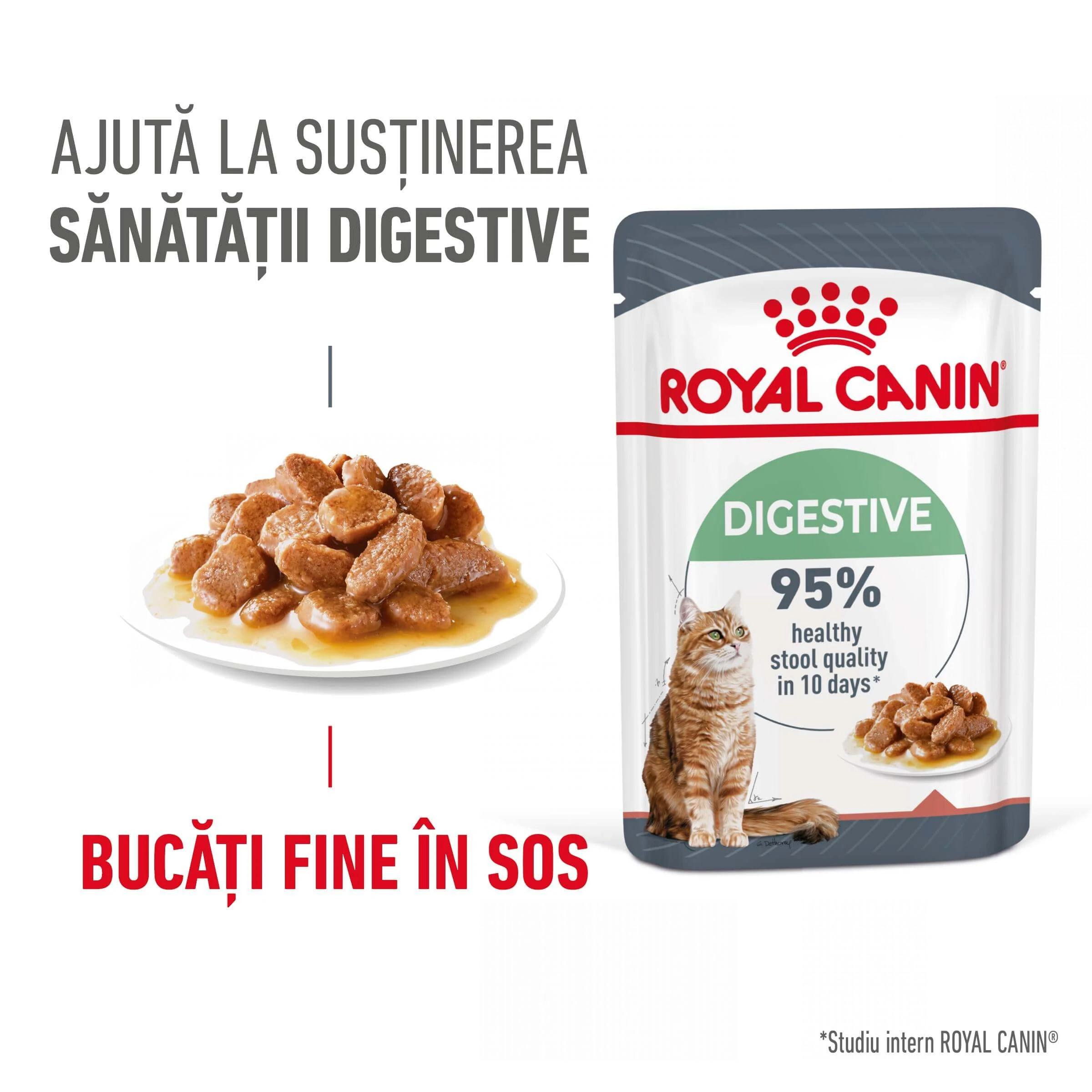 ROYAL CANIN Digest Sensitive Care Adult, Nassfutter für Katzen, Verdauungskomfort, (in Sauce), 85g