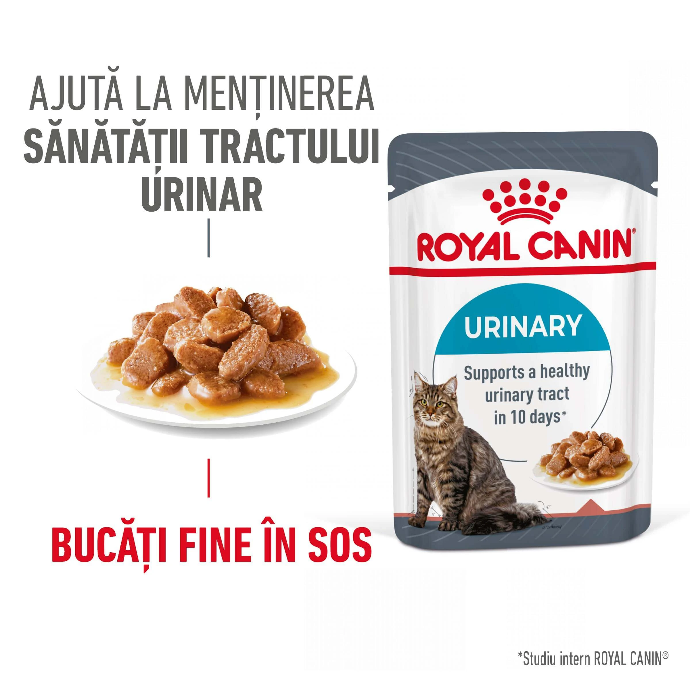 ROYAL CANIN Urinary Care Adult, Nassfutter für Katzen, Gesundheit der Harnwege, (in Sauce), 85g
