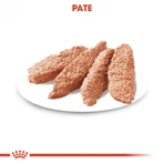 ROYAL CANIN Exigent Adult hrană umedă câini apetit capricios (pate), 85g