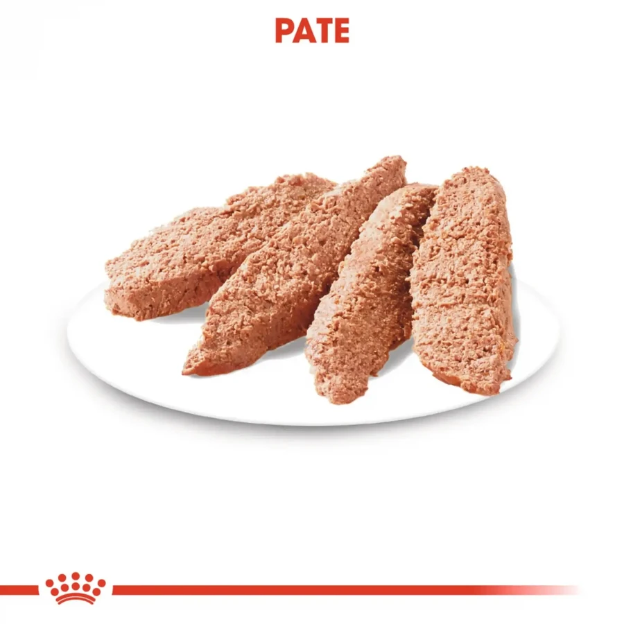 ROYAL CANIN Exigent Adult hrană umedă câini apetit capricios (pate), 85g
