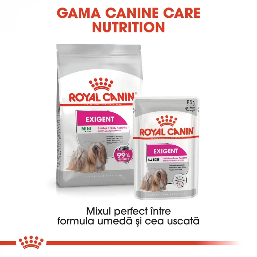 ROYAL CANIN Exigent Adult hrană umedă câini apetit capricios (pate), 85g