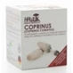 Hawlik Coprinus Extracto Puro 60Vcaps