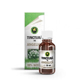 Tinctura de Angelica, 50ml, Hypericum