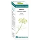 Equisalud Bio Ätherische Öle Fenchel Ätherisches Öl 10Ml