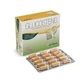 Derbos Glucostend 60 Kapseln