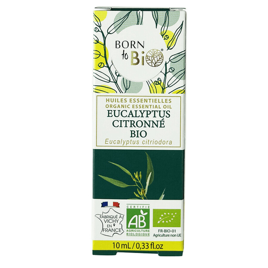 Ätherisches Öl von Eukalyptus Citronat Bio, 10 ml, Born to Bio